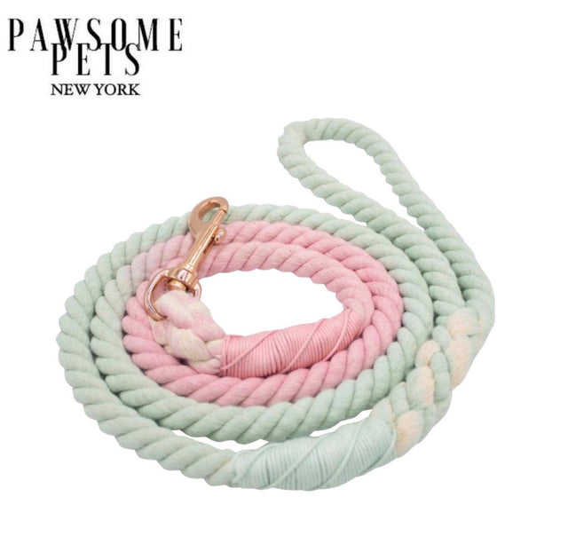 LAISSE EN CORDE - DAISY